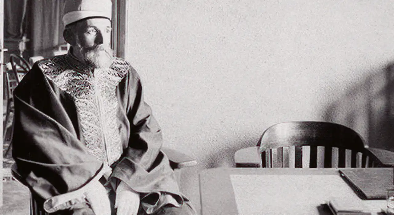 Džemaludin Čaušević